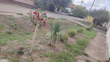 Kuće na prodaju: 80 kv. m, 3 sobe — 13