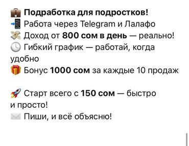 помощник повор: Бухгалтер