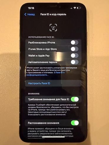 ios: IPhone Xs Max, Б/у, 256 ГБ, Серебристый, Чехол, 78 % — 9