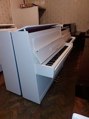 Musiqi alətləri: Piano, Belarus, Akustik, Yeni, Pulsuz çatdırılma — 2