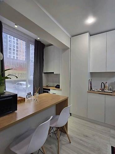 Продажа квартир: 1 комната, 27 м², Элитка, 4 этаж, Евроремонт — 2