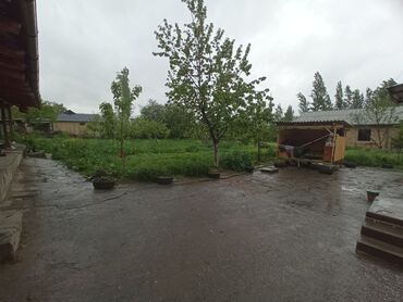 дом с землёй: 16 соток, Для сельского хозяйства, Красная книга