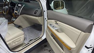 мото номер: Lexus RX: 2009 г., Кроссовер — 10