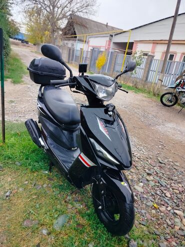 Скутеры: Тип скутера 150 куб. см, Бензин, Б/у — 4