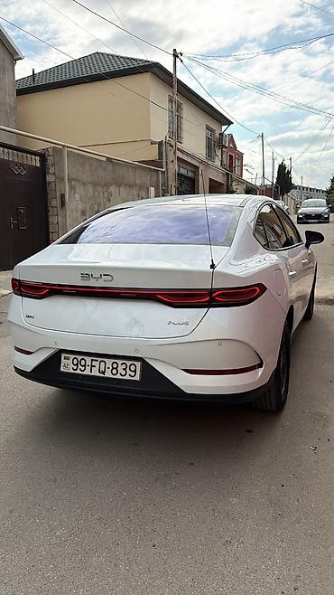qin plus: BYD Qin Plus: 1.5 l | 2025 il 67400 km Sedan — 3