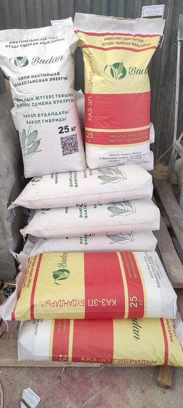 рушенная кукуруза: Семена и саженцы Бесплатная доставка