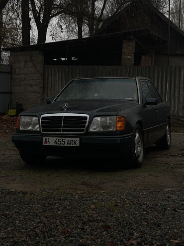 Mercedes-Benz: Mercedes-Benz W124: 1995 г., 2.2 л, Автомат, Бензин