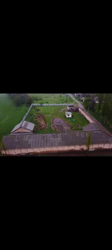 Продажа участков: 45 соток, Для бизнеса, Тех паспорт, Красная книга — 2