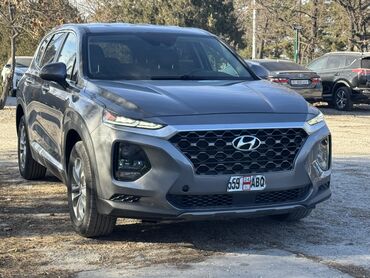 Hyundai: Hyundai Tucson: 2019 г., 2.4 л, Автомат, Бензин, Внедорожник