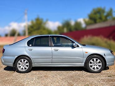куплю авто ниссан: Nissan Primera: 2000 г., 1.8 л, Механика, Бензин, Хэтчбэк — 2