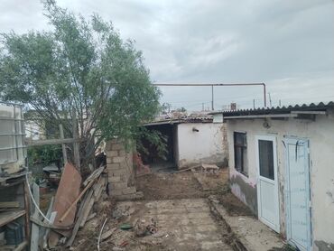qaxda gunluk kiraye evlerin qiymeti: 2 комнаты, 60 м², Нет кредита, Без ремонта