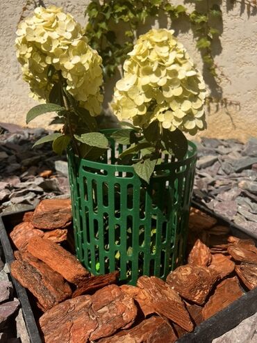 Садовые бордюры: Бордюрная лента КАНТА Бордюрная лента КАНТА доступна в трех цветах — 12