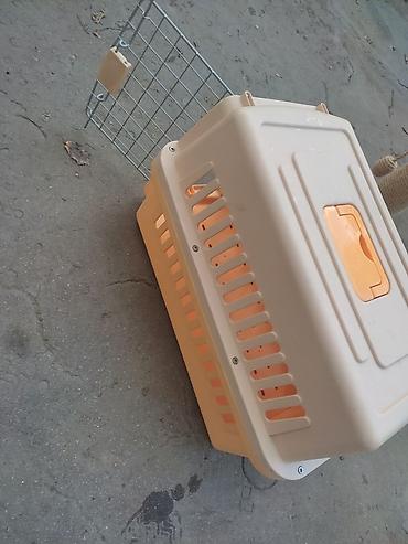 it ucun paltar: Heyvan daşıma boksu -80 manata almışam az istifade edilib yeni kimidir — 5
