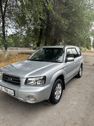 купить машину шевроле: Subaru Forester: 2003 г., 2 л, Автомат, Бензин, Кроссовер