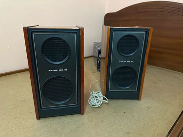 акустические системы devialet колонка банка: Пара пассивных акустических систем "Электроника 102-01", выполненных в