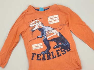 koszula z krytą plisą: Sweatshirt, Little kids, 4-5 years, 104-110 cm, condition - Good