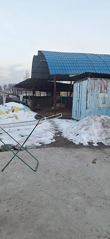 Продажа домов: Дом, 52 м², 2 комнаты, Собственник, Старый ремонт — 6