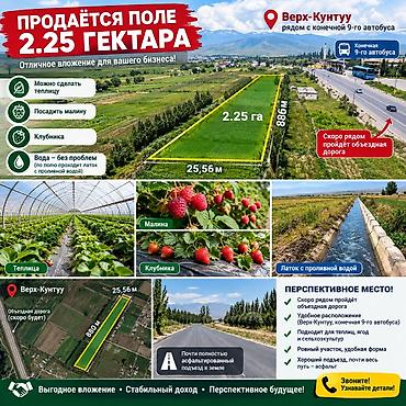 Жер тилкелери: 225 соток, Айыл чарба үчүн, Сатып алуу-сатуу келишими — 1