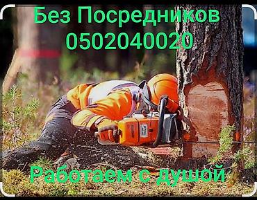 холодильные двери: Профессиональная валка и обрезка деревьев. - Спил деревьев любой — 1