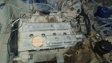автозапчасти на субару: Opel ASTRA F, 1.6 l, Benzin, 1997 il, Orijinal, İşlənmiş