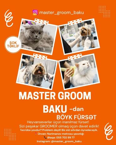 Tikinti ixtisasları: Salam. Groomer köməkçisi axtarırıq. İş təcrübəsi olmayanları groomer