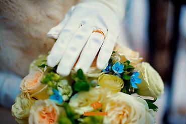 Фото- и видеосъёмка: Фотосъёмка, Видеосъемка | Студия, С выездом | Аэросъемка с дрона, Съемки интервью, Рекламные ролики — 27