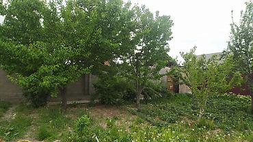 Продажа коттеджей и домов: Продажа коттеджей и домов — 6