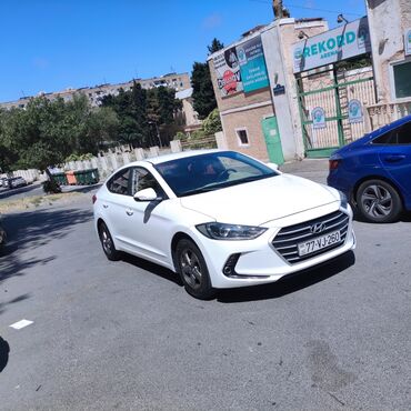 фольксваген поло салон: Hyundai Avante: 1.6 l | 2016 il Sedan