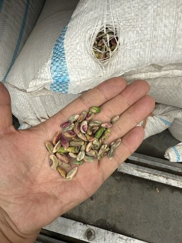 спортивный костюм м: Ядра фисташек без скорлупы - Цельные очищенные ядра, микс зелёных и