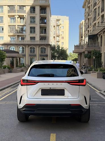 lexus: Lexus NX: 2023 г., 2.5 л, Автомат, Гибрид, Кроссовер — 6