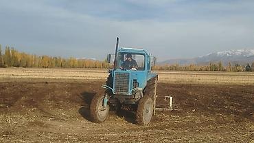 кпп zf: Трактор МТЗ 80+ прицепной пресс‑подборщик Описание: - Колёсный — 5