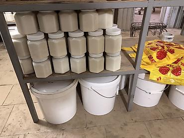 Мёд: Белый мёд ат-баши (эспарцет кремованный натуральный белый) Ведро 25кг — 1