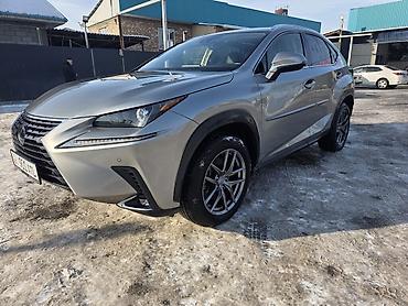 Lexus: Lexus NX: 2020 г., 2 л, Автомат, Бензин, Кроссовер — 4