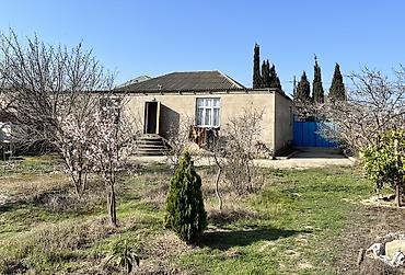 torpaq məhəmmədli: 4 otaqlı, 100 kv. m — 1