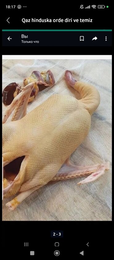 qaz əti: Temizlenmiş qaz ördek colpa hinduska var