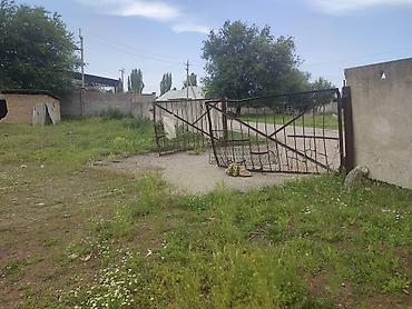 60 соток, Для бизнеса — 6