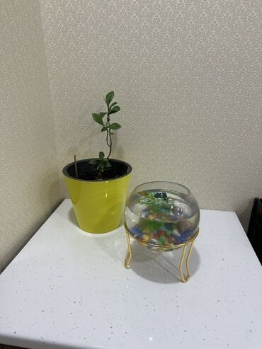 Двуспальные кровати: 🏠 Сдаётся 4-комнатная квартира в центре города на долгий срок ✨ — 5