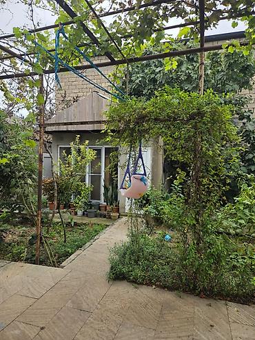 imisli ev elanlari: Binə sovxozda, 160 nömrəli avtobusun son dayanacağına yaxın ərazidə — 4