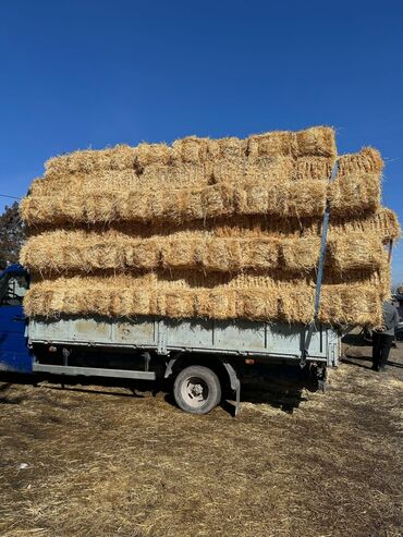 флипчарты 100 х 200 см с дополнительными планками: Арпа саман 100 сом туктор мощный