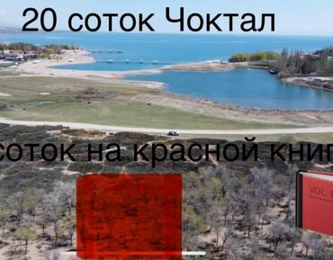 продажа дом ак орго: 20 соток, Для строительства, Красная книга, Договор купли-продажи