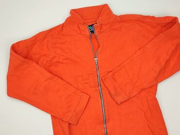 Fleece for men, L (EU 40), Helly Hansen, condition - Very good