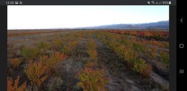 Продажа участков: 160000 соток, Для сельского хозяйства at lalafo.kg — 19 Продажа участков: 160000 соток, Для сельского хозяйства — 19