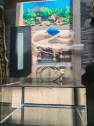 Akvariumlar: Dördbucaq akvarium, Balıqlarla birlikdə, 30 l, Pulsuz çatdırılma — 8