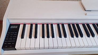 volta vs2: Piano Suita Ağ Rəqəmsal işlənmiş görünüşünə baxmayaraq, pianino tam — 2