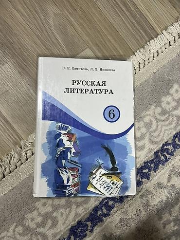Русский язык и литература: Комплект школьных учебников для 6 класса С ОБЛОЖКАМИ ГОТОВЫЕ Состав — 14