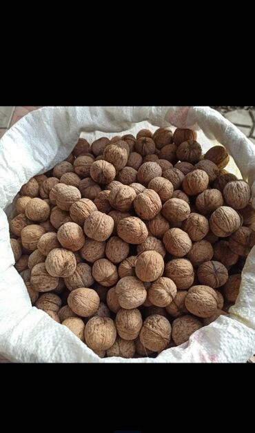 лесной орех: Продаю орех грецкий. Урожай 2023г. Орехи чистые и сухие. Всего 250кг