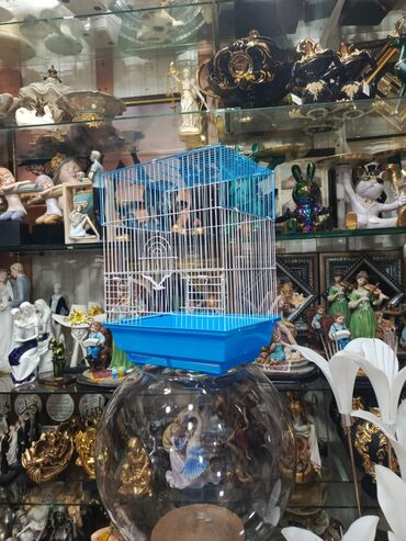 Qəfəslər: Təzə Qəfəslər 9azn boş qəfəslər Valnisti Tutuquşu Qəfəsi 9azn Amadin — 9