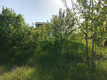 Torpaq sahələrinin satışı: 30 sot, Tikinti, Mülkiyyətçi, Kupça (Çıxarış) — 7