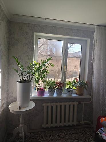 для одыха: 3 комнаты, 60 м², 104 серия, 1 этаж, Евроремонт — 10