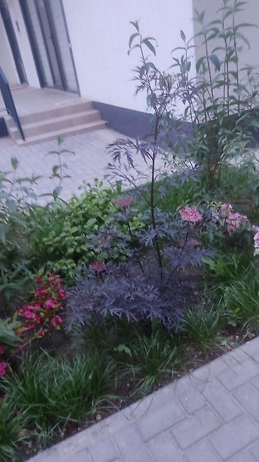 Иссык-Куль 2026: Коттедж, АТЛАНТИС Сары-Ой, Детская площадка, Парковка, стоянка, Охраняемая территория — 12